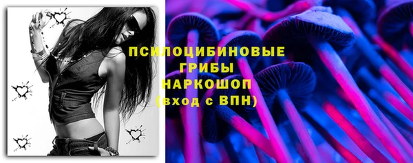 спиды Беломорск
