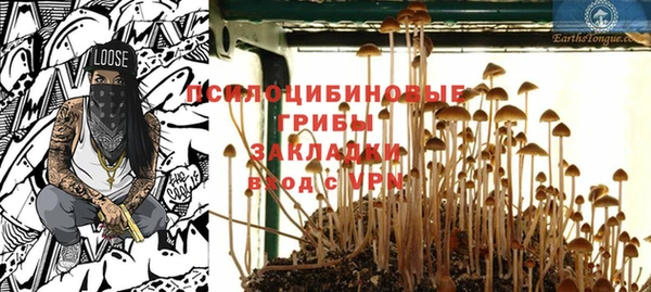 стафф Белокуриха
