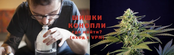 стафф Белокуриха