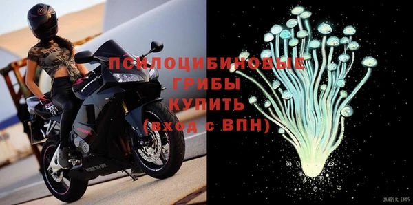 спиды Беломорск