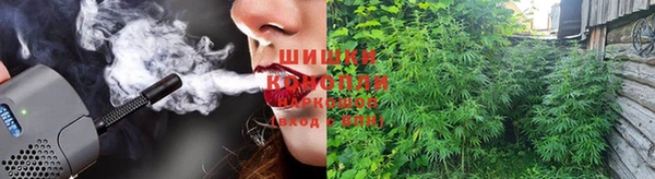 стафф Белокуриха