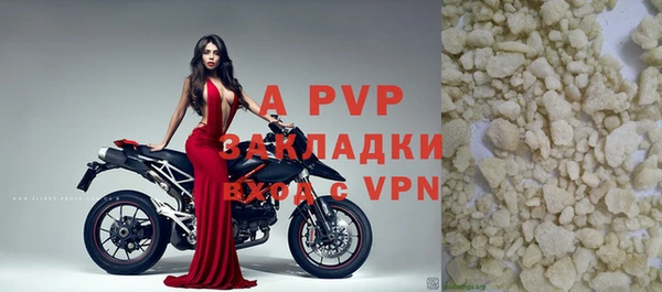 стафф Белокуриха